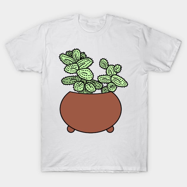 Augurkenplantje Delopsperma Echinatum Color T-Shirt by Reujken